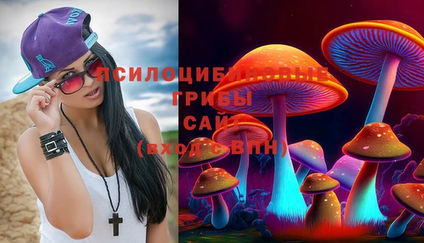бошки Аркадак