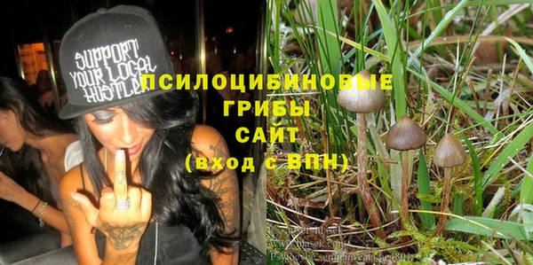 бошки Аркадак