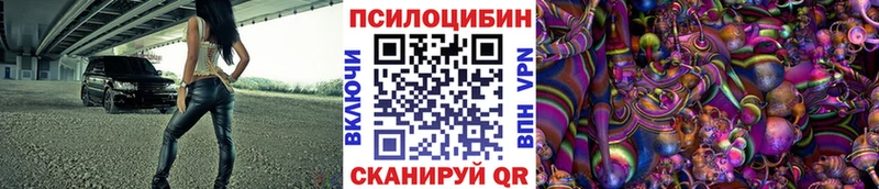 Купить закладки  Исилькуль  Псилоцибиновые грибы мухоморы 